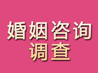 集安婚姻咨询调查