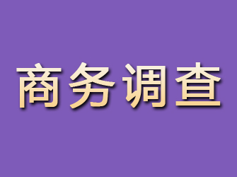 集安商务调查